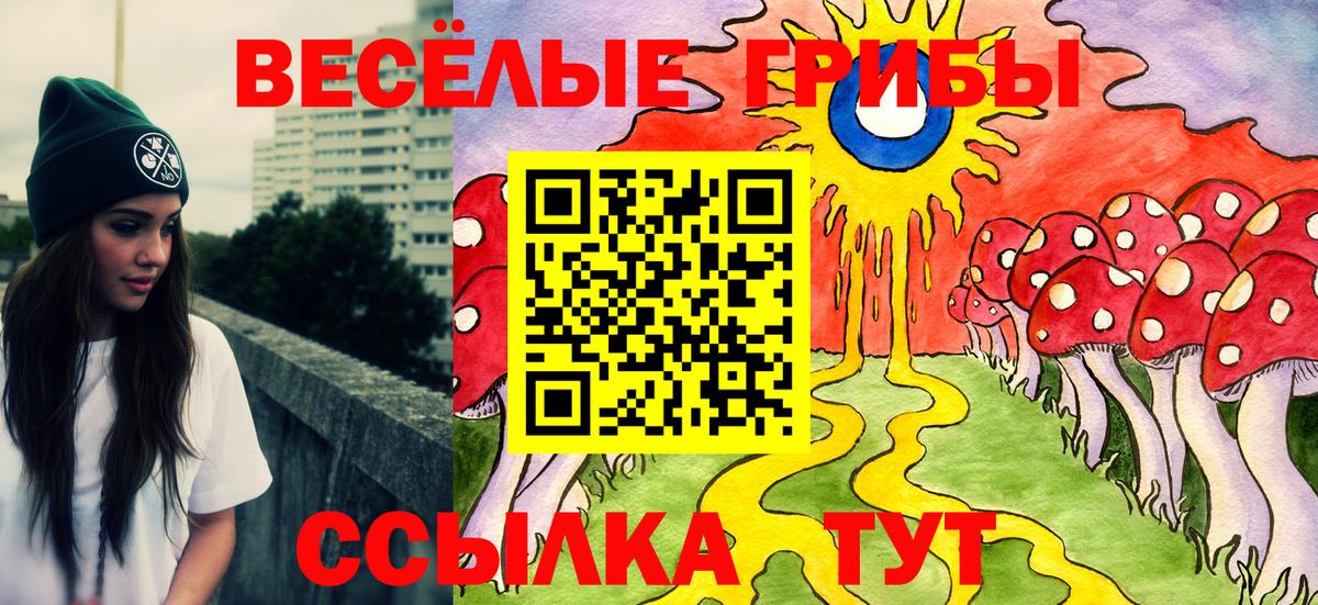 Альметьевск  Галлюциногенные грибы GOLDEN TEACHER  Вход с VPN 